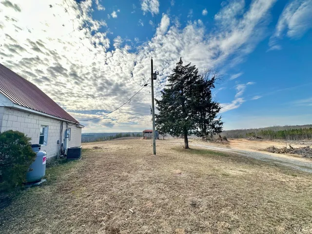 a view of a yard with large tree