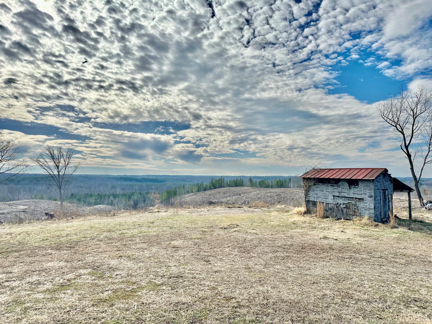 2269 McIver Ferry Road Gladys, VA 24554 - Photo 5 of 42