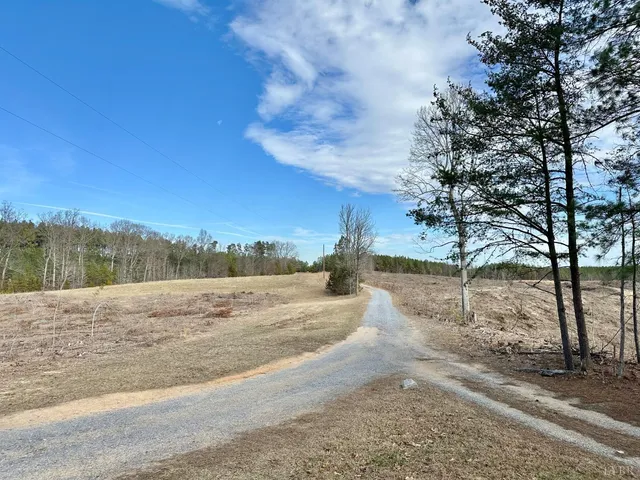 a view of backyard of house