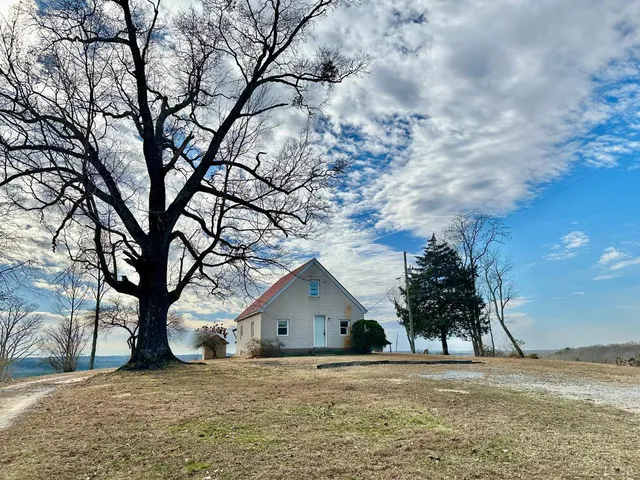 a view of a backyard with a tree