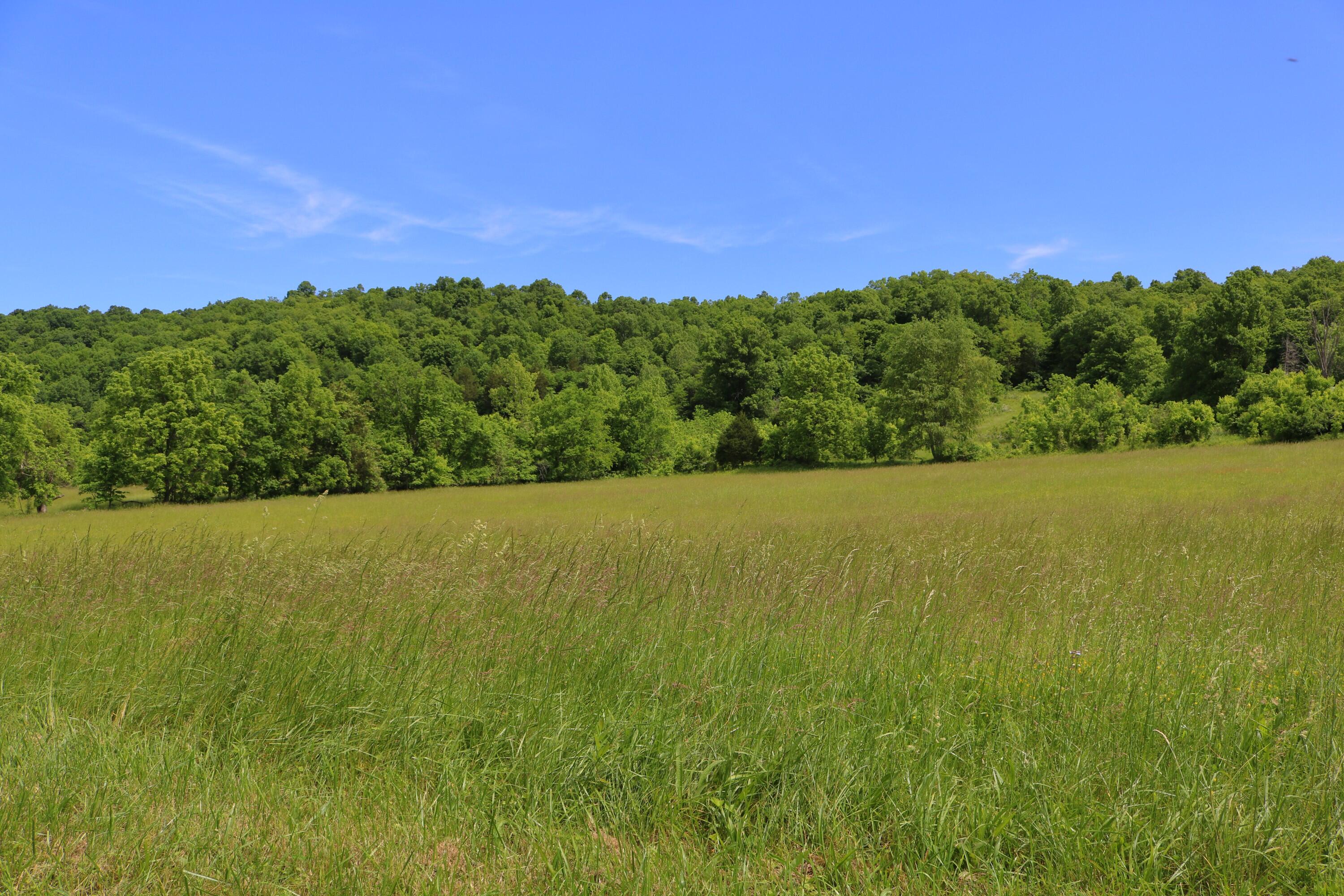 25.78 McDonald Ferry Road Frankfort, KY 40601 - Photo 2 of 14