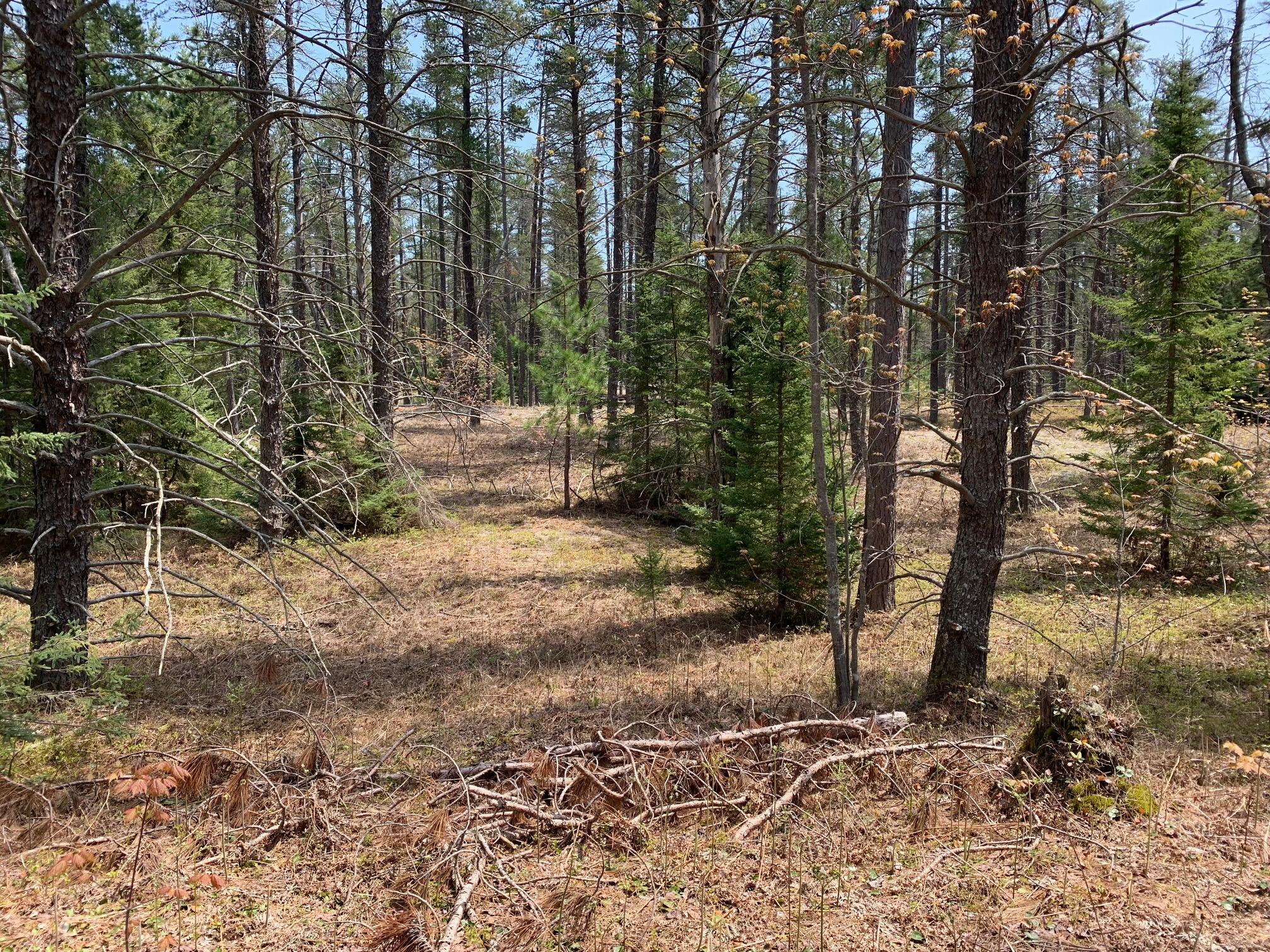 33908 West Betsy River Road Paradise, MI 49768 - Photo 12 of 14 Gallery Image 12