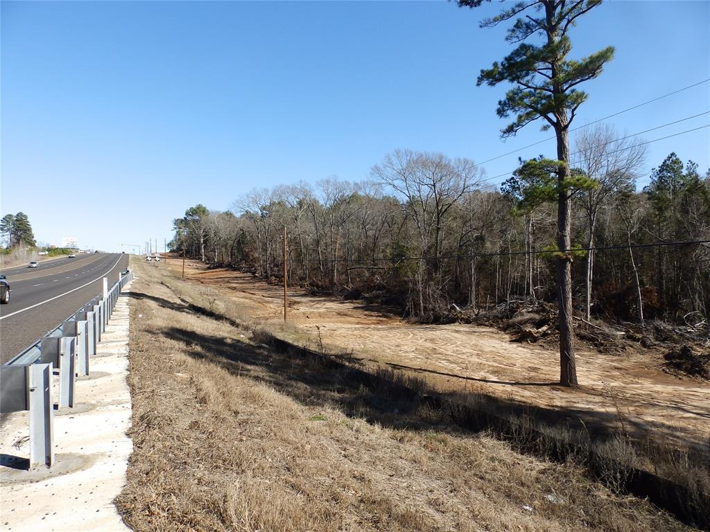 20175 South S Highway Flint, TX 75762 - Photo 17 of 40 a view of a yard with a tree