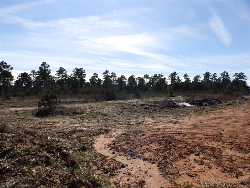 20175 South S Highway Flint, TX 75762 - Photo 25 of 40 a view of a dry yard with trees