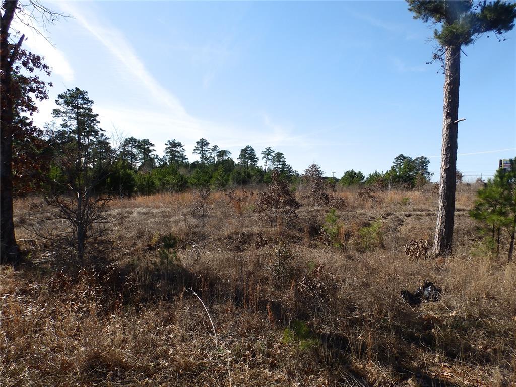 20175 South S Highway Flint, TX 75762 - Photo 29 of 40 a view of a city with lush green forest