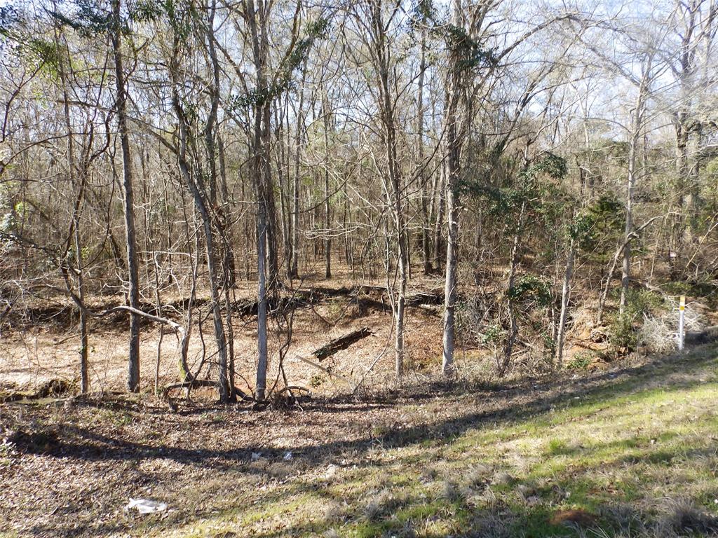 20175 South S Highway Flint, TX 75762 - Photo 37 of 40 a view of a yard with large trees