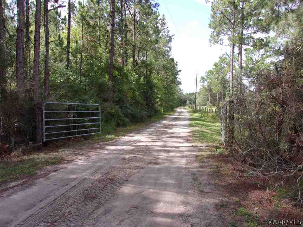2037 Iron Bridge Road Samson, AL 36477 - Photo 2 of 36 Property Gate