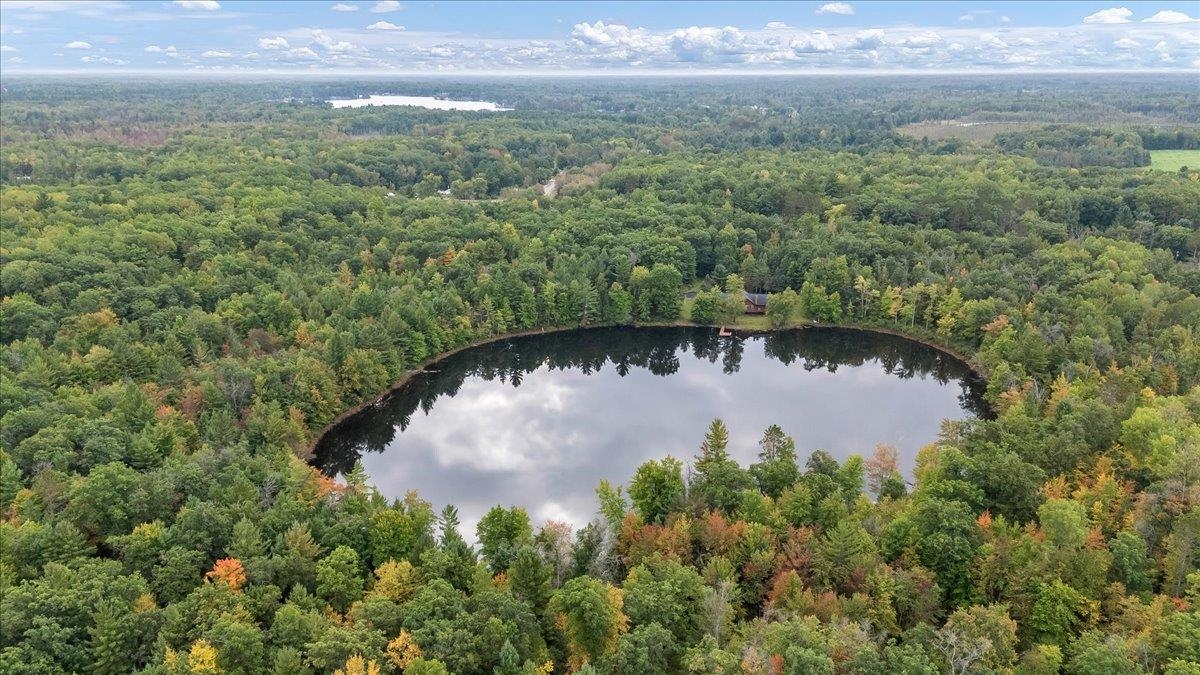 5500 County Line Road Hale, MI 48739 - Photo 4 of 59