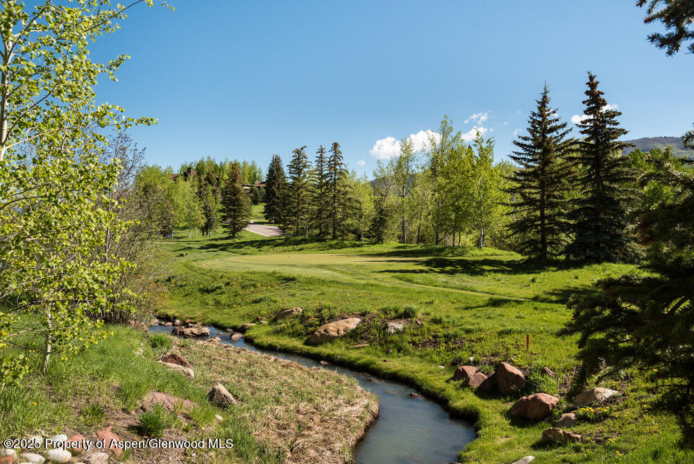 74 Pfister Drive, Unit 101 Aspen, CO 81611 - Photo 22 of 24 a view of a garden with an trees