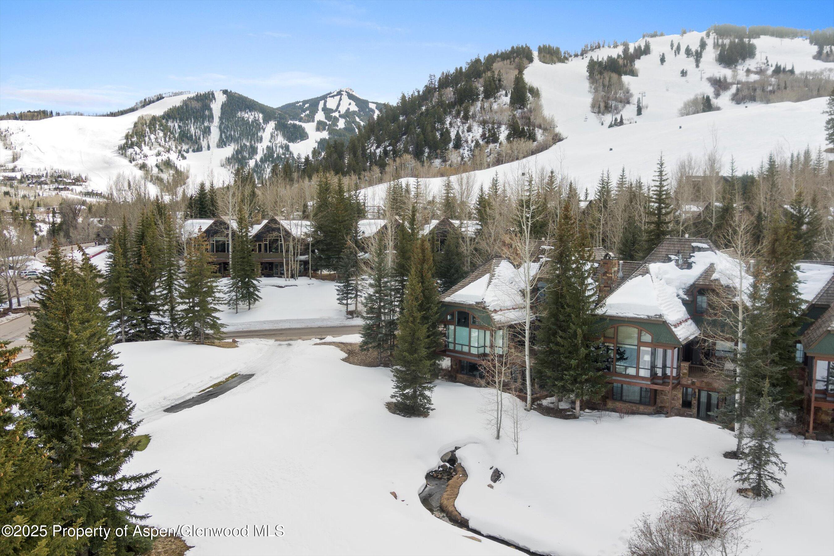 74 Pfister Drive, Unit 101 Aspen, CO 81611 - Photo 24 of 24 a view of outdoor space and yard