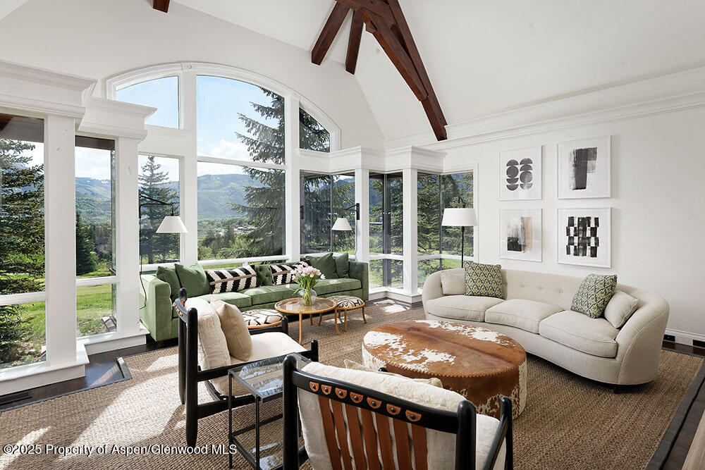 74 Pfister Drive, Unit 101 Aspen, CO 81611 - Photo 3 of 24 a living room with furniture and a large window