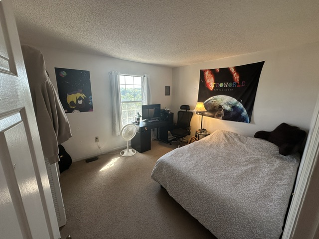 250 Elm Street, Unit 825 Clemson, SC 29631 - Photo 9 of 10