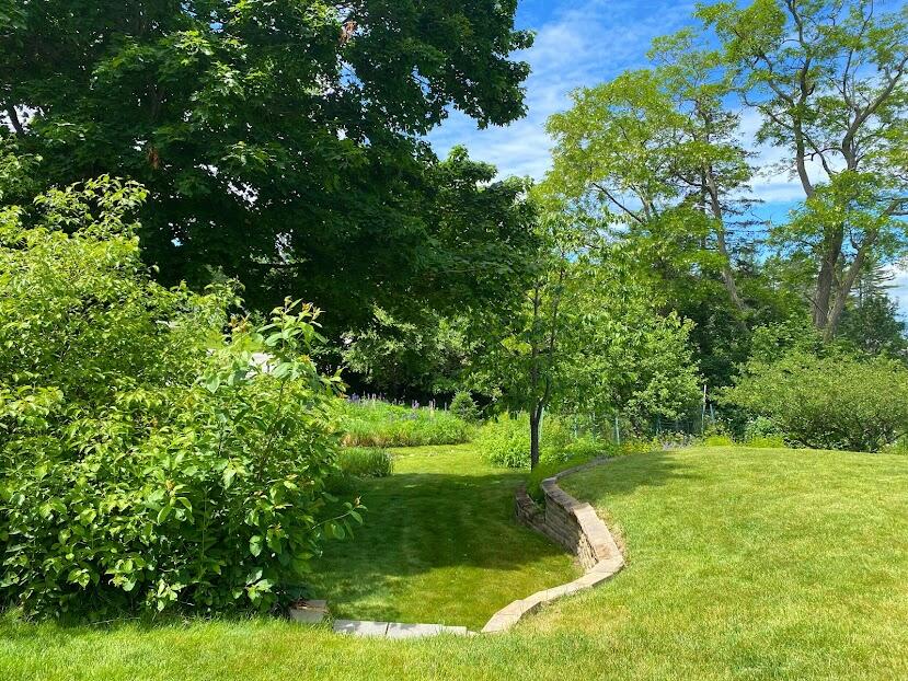 111 Old Bar Harbor Road Bar Harbor, ME 04609 - Photo 48 of 74 111 Old BH rd Landscape2