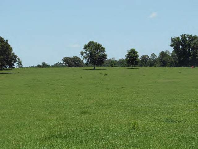 Ellis Road Tylertown, MS 39667 - Photo 1 of 1 Main View