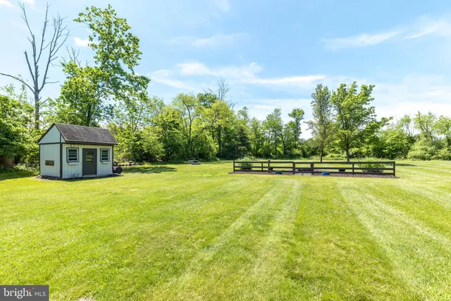 a view of a big yard with a large tree