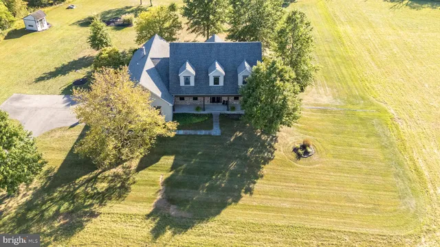 a view of a yard with trees