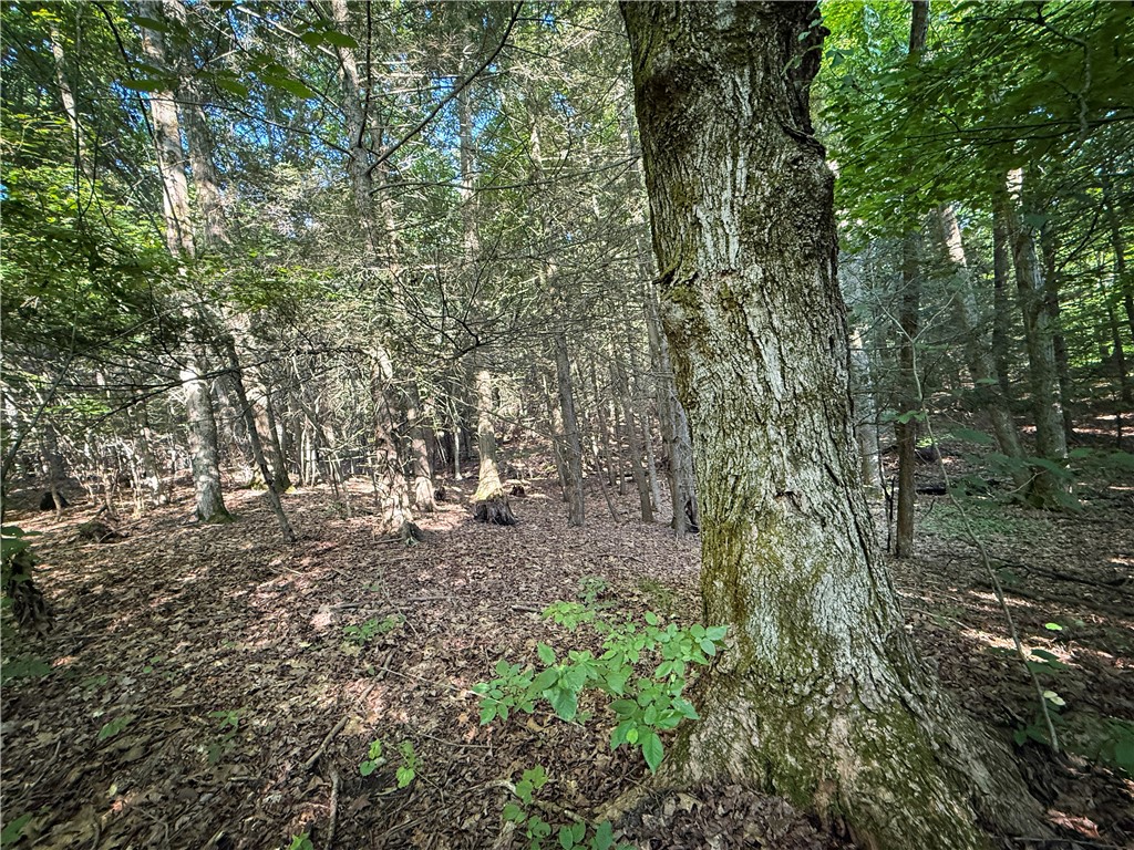 Wright Road Candor, NY 13743 - Photo 2 of 33 Gallery Image 2