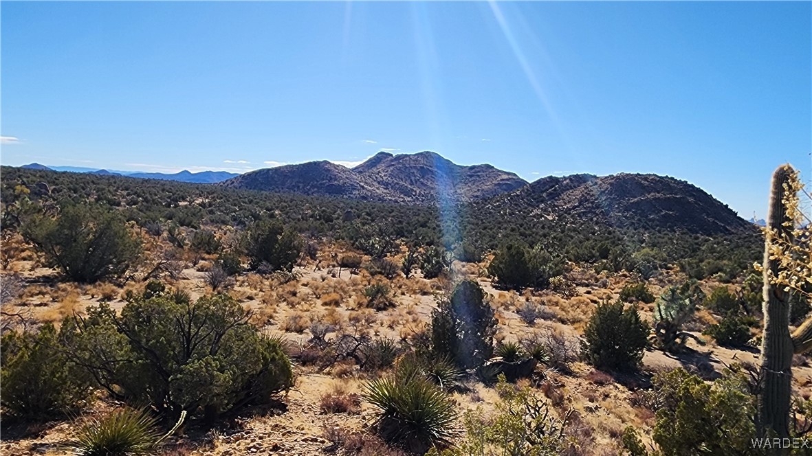 18680 Gunsmoke Road Yucca, AZ 86438 - Photo 15 of 31 View