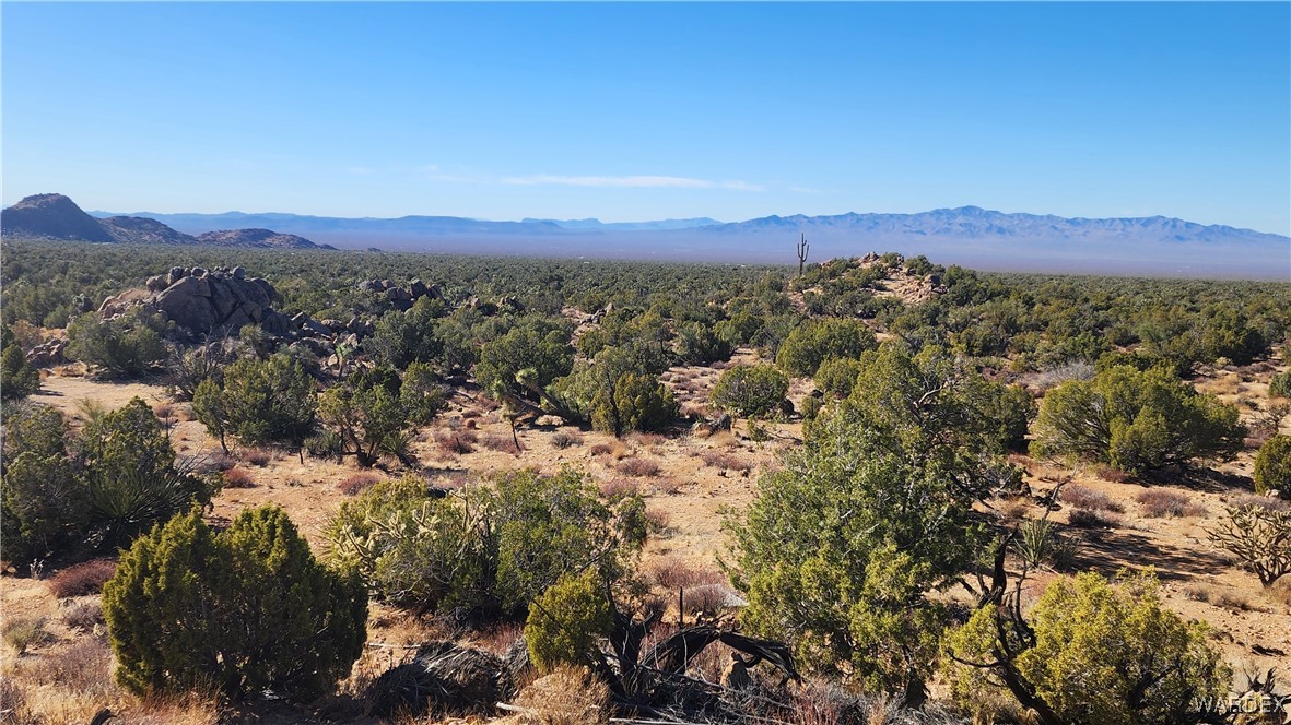 18680 Gunsmoke Road Yucca, AZ 86438 - Photo 16 of 31 View