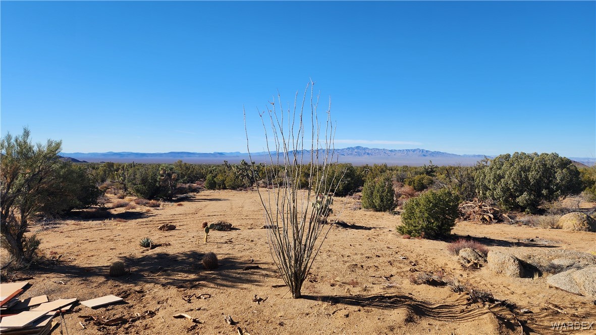 18680 Gunsmoke Road Yucca, AZ 86438 - Photo 4 of 31 View