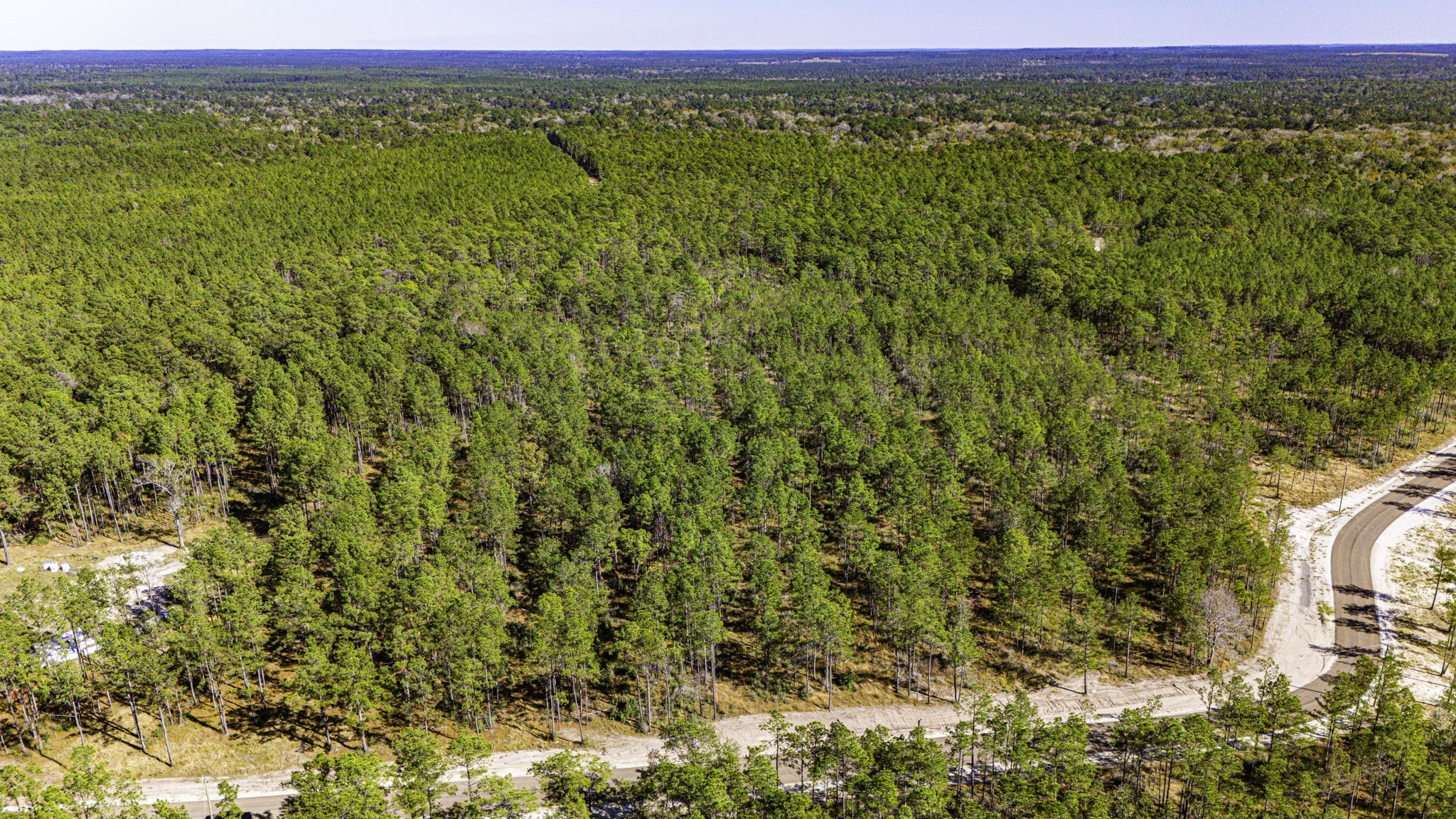 312 King Ranch Road South Onalaska, TX 77360 - Photo 2 of 10
