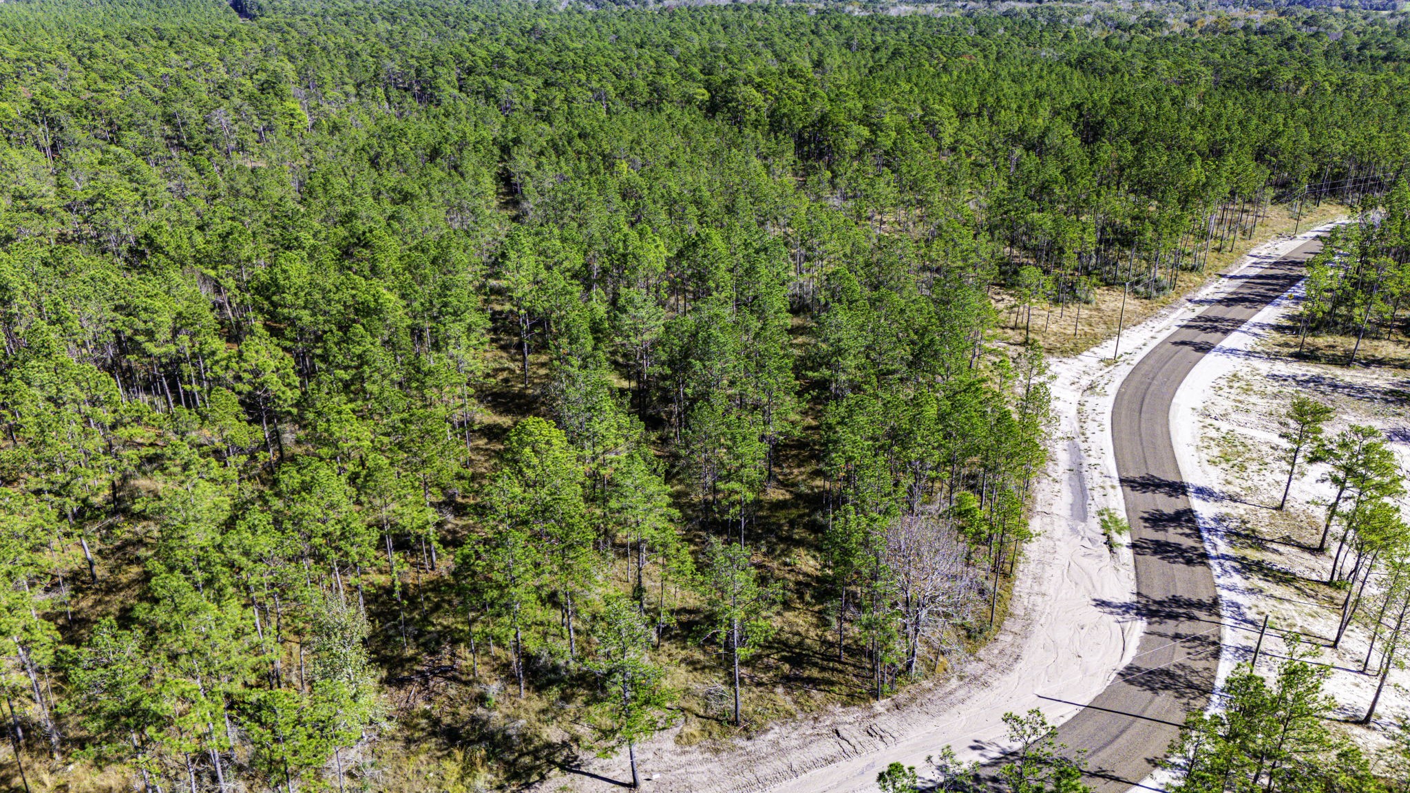 312 King Ranch Road South Onalaska, TX 77360 - Photo 7 of 10