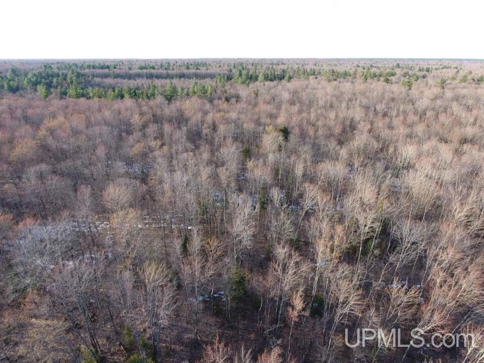 9936 N South Ross Lake Road Shingleton, MI 49884 - Photo 9 of 50