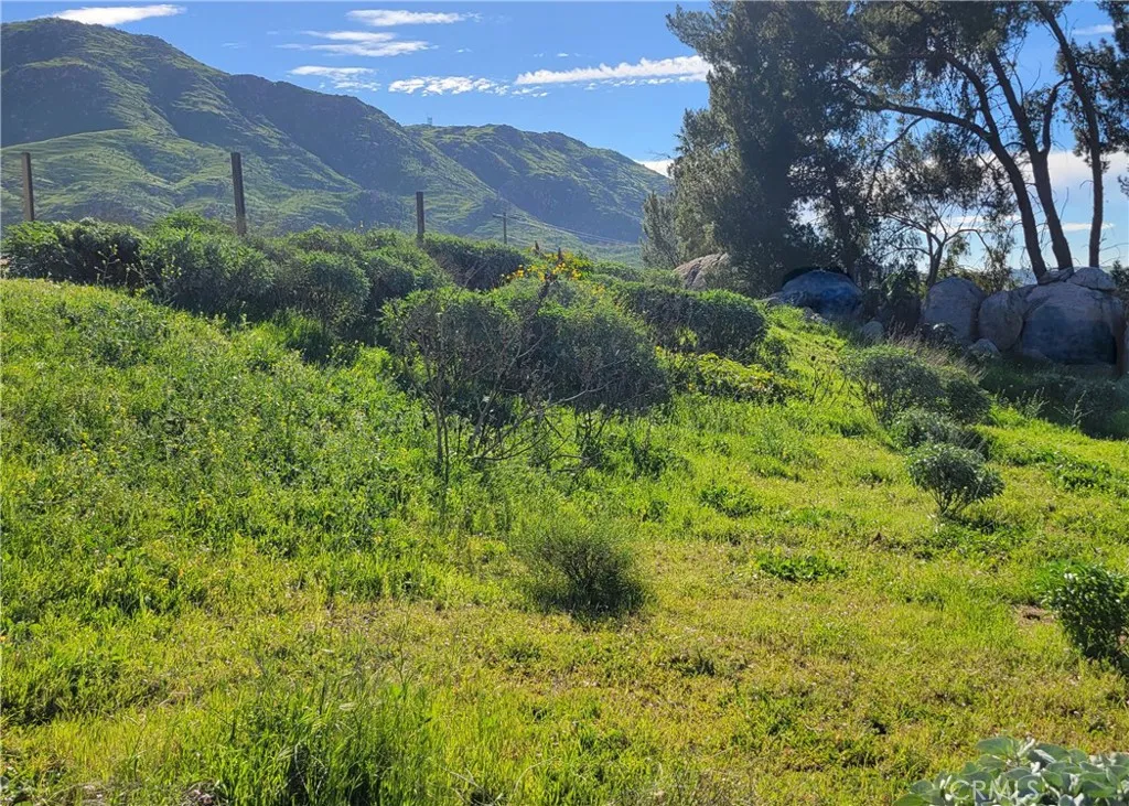 2935 Galaxie Road Riverside, CA 92507 - Photo 10 of 45 a view of a back yard