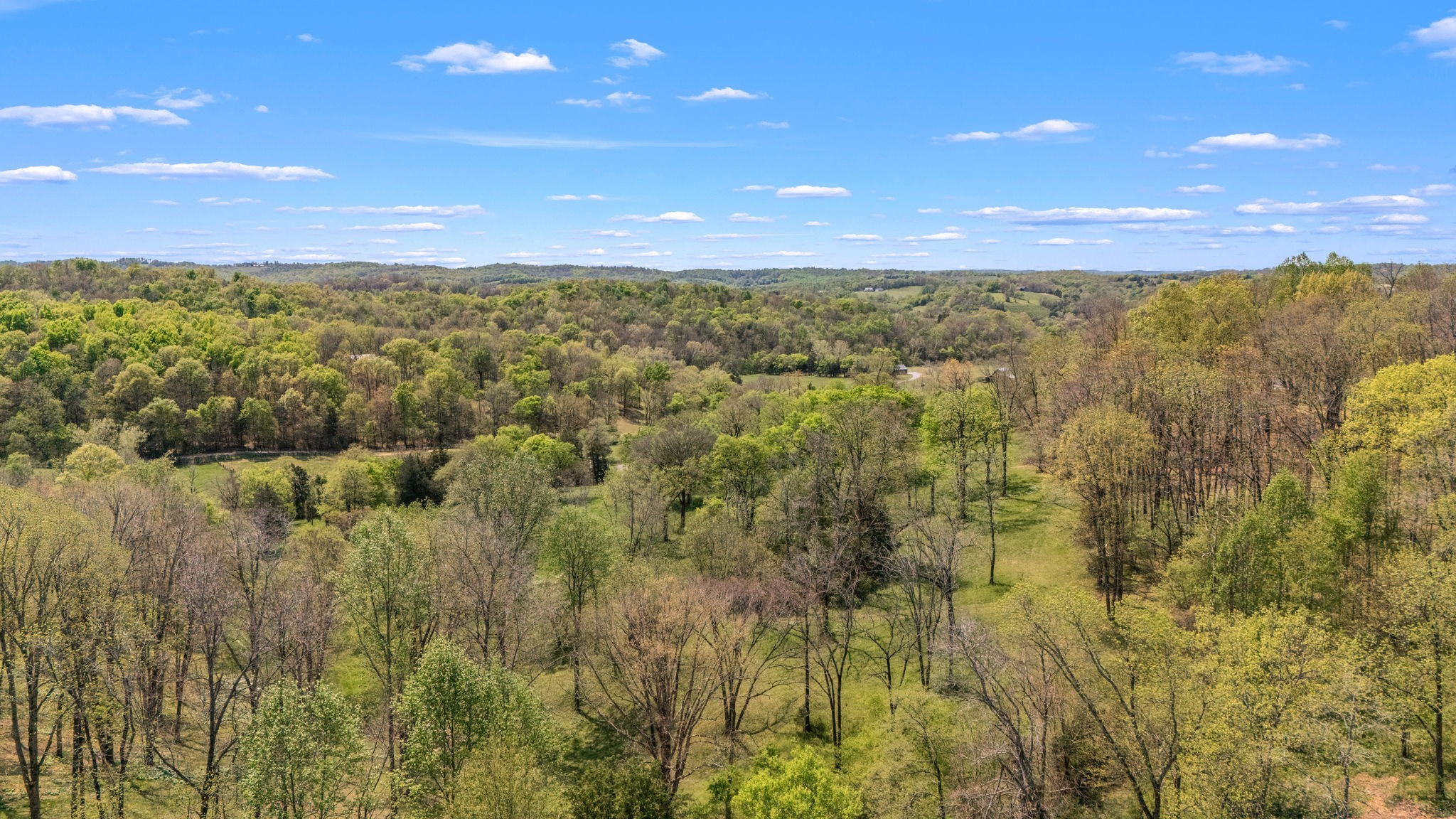 0 Whiteside Hill Road Wartrace, TN 37183 - Photo 22 of 38