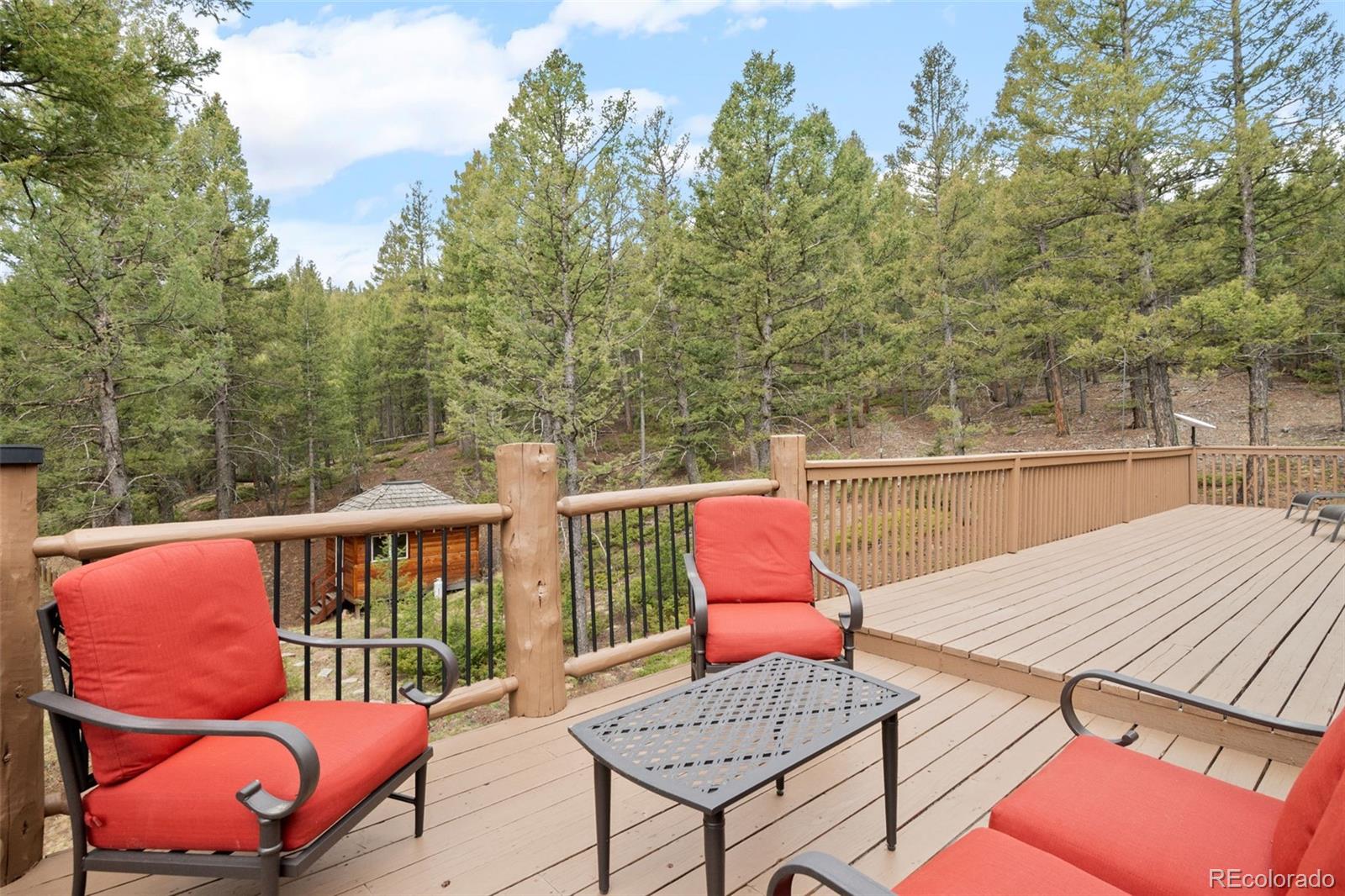 9471 South Warhawk Road Conifer, CO 80433 - Photo 27 of 50
