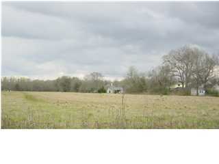0 Louveteau Road Carencro, LA 70520 - Photo 1 of 1 Primary Photo