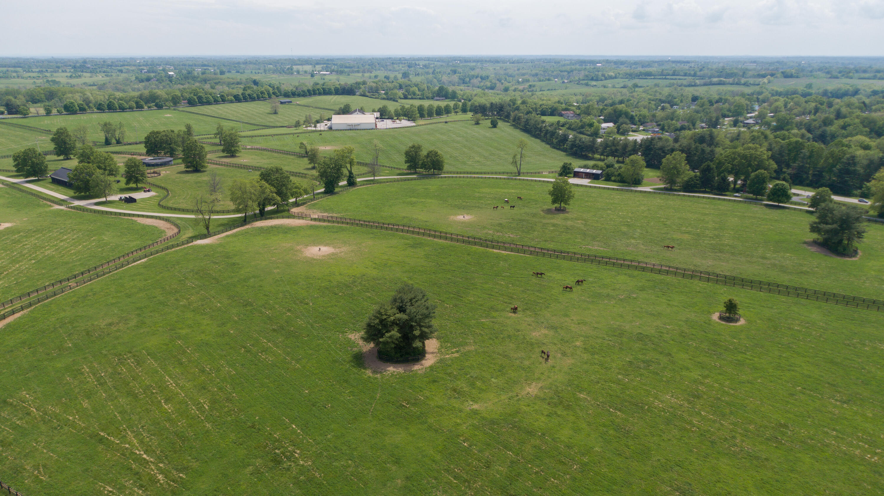5768 Tates Creek Road Lexington, KY 40515 - Photo 23 of 35 DJI_0006