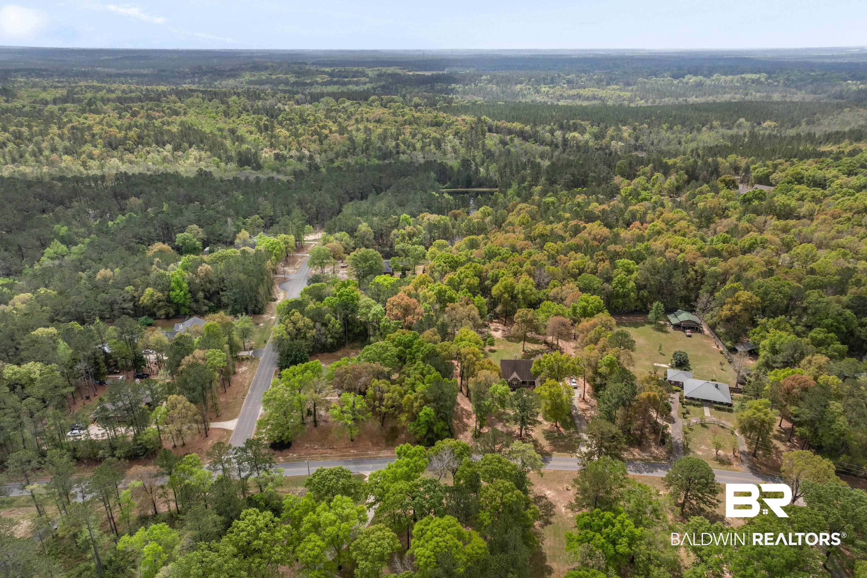 10140 Lakeview Road Bay Minette, AL 36507 - Photo 29 of 35 Aerial view of a forest
