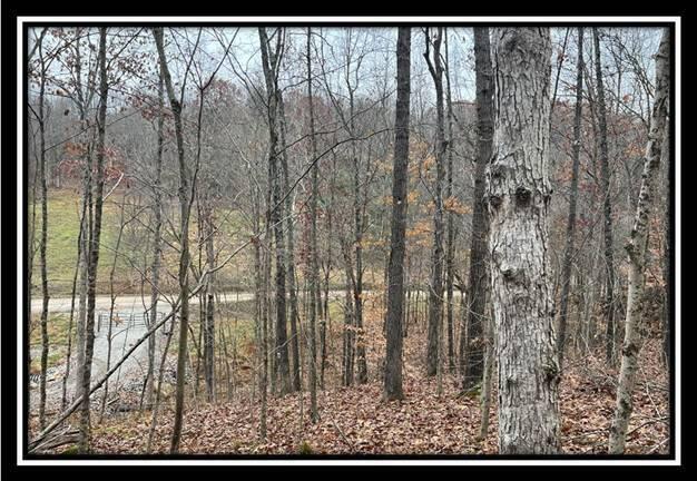 35816 Buck Run Road, Unit TRACT 11 Langsville, OH 45741 - Photo 17 of 31 image017