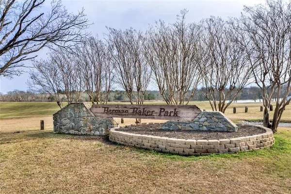 a view of a yard with trees