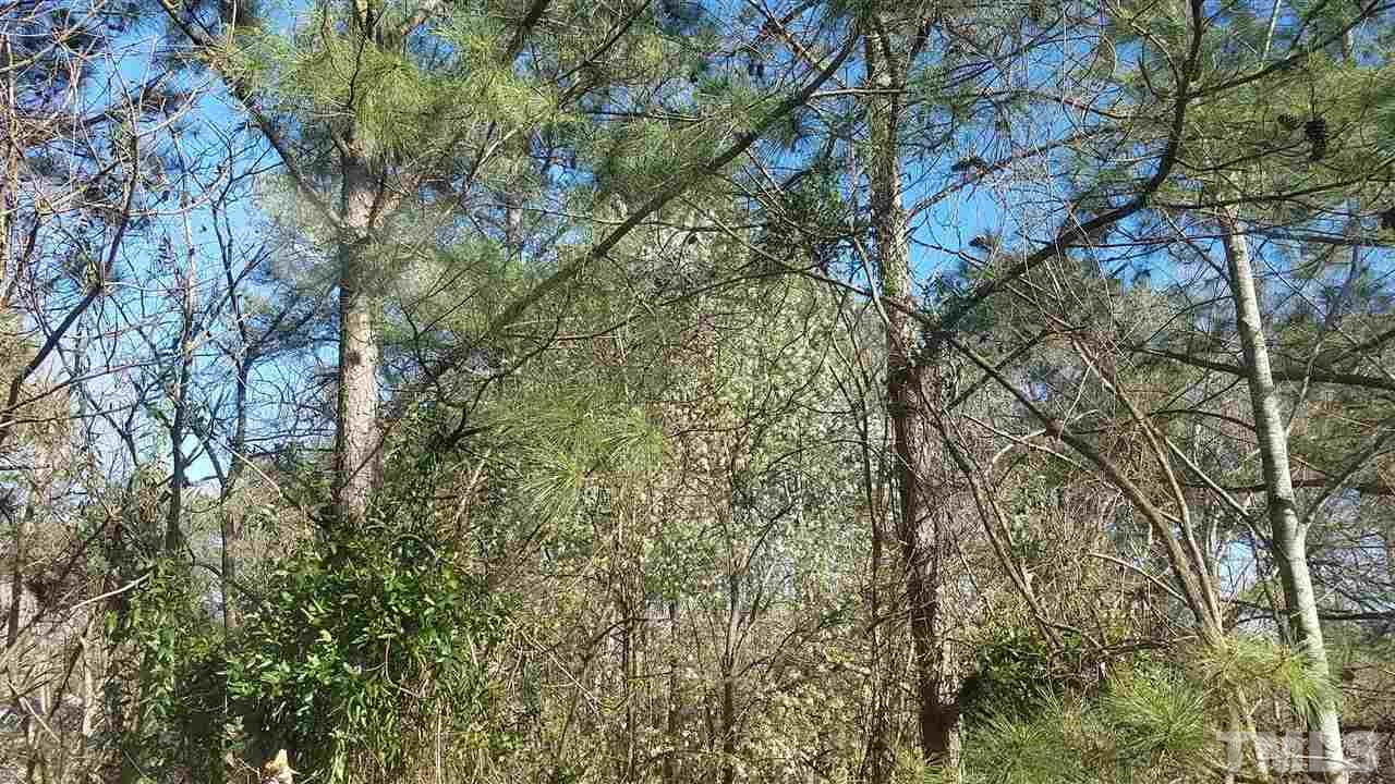 4238 Kaplan Drive Raleigh, NC 27606 - Photo 3 of 21 a view of a yard with a tree