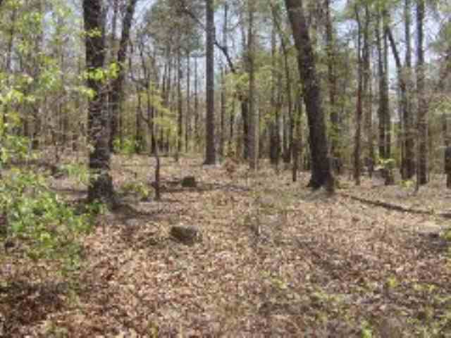 28 B Currahee Ridge Road Toccoa, GA 30577 - Photo 1 of 6 Gallery Image 1