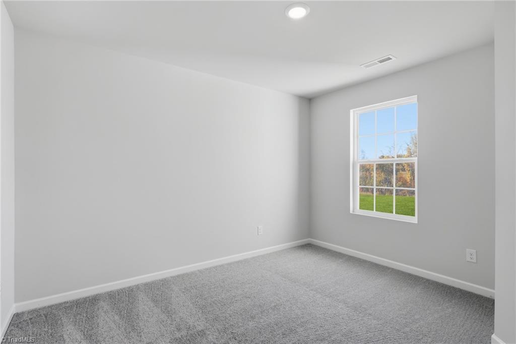 176 Plumtree Court King, NC 27021 - Photo 27 of 30