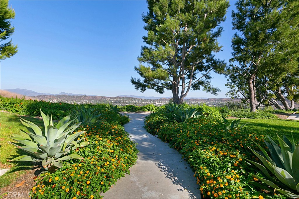 27 Hawk Hill Mission Viejo, CA 92692 - Photo 46 of 48 a view of a garden with a tree