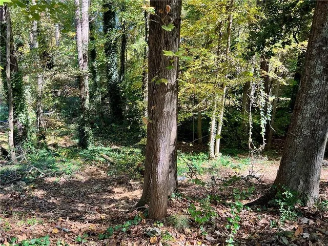 $30,000 | 0 Randolph Circle, Kennesaw, GA 30144