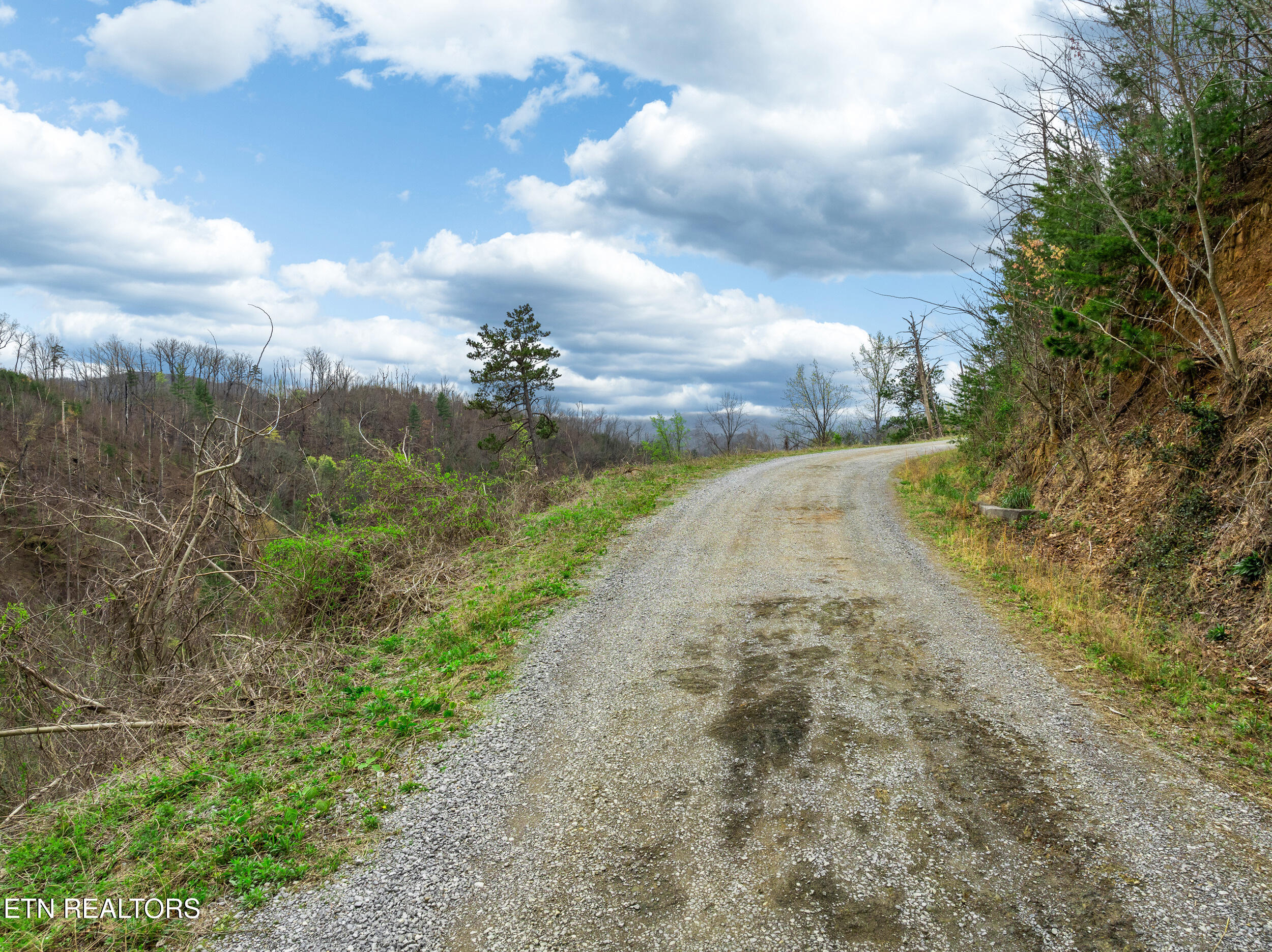 Long Branch Road Gatlinburg, TN 37738 - Photo 3 of 15 long branch road lot-3