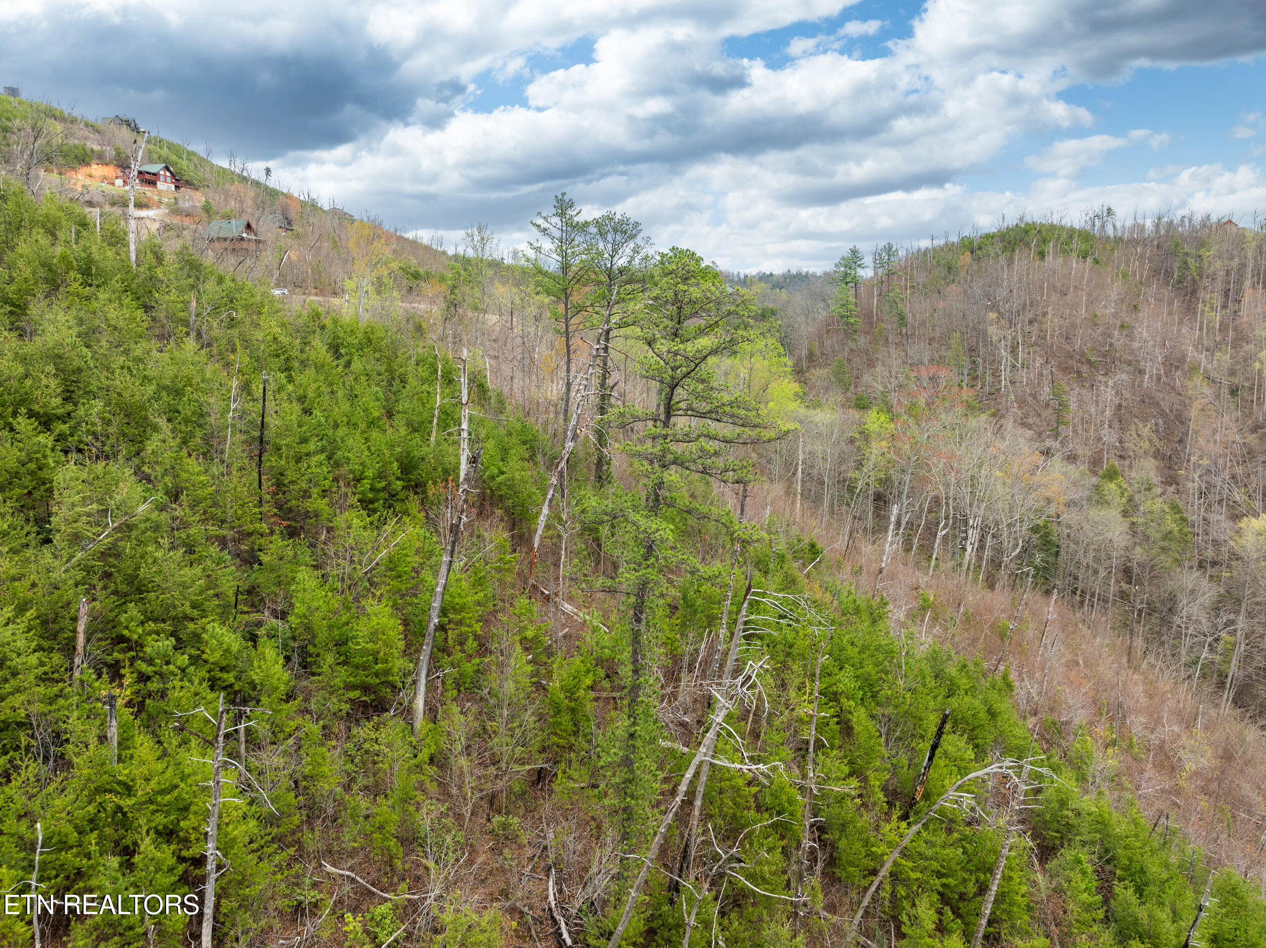 Long Branch Road Gatlinburg, TN 37738 - Photo 9 of 15 long branch road lot-9