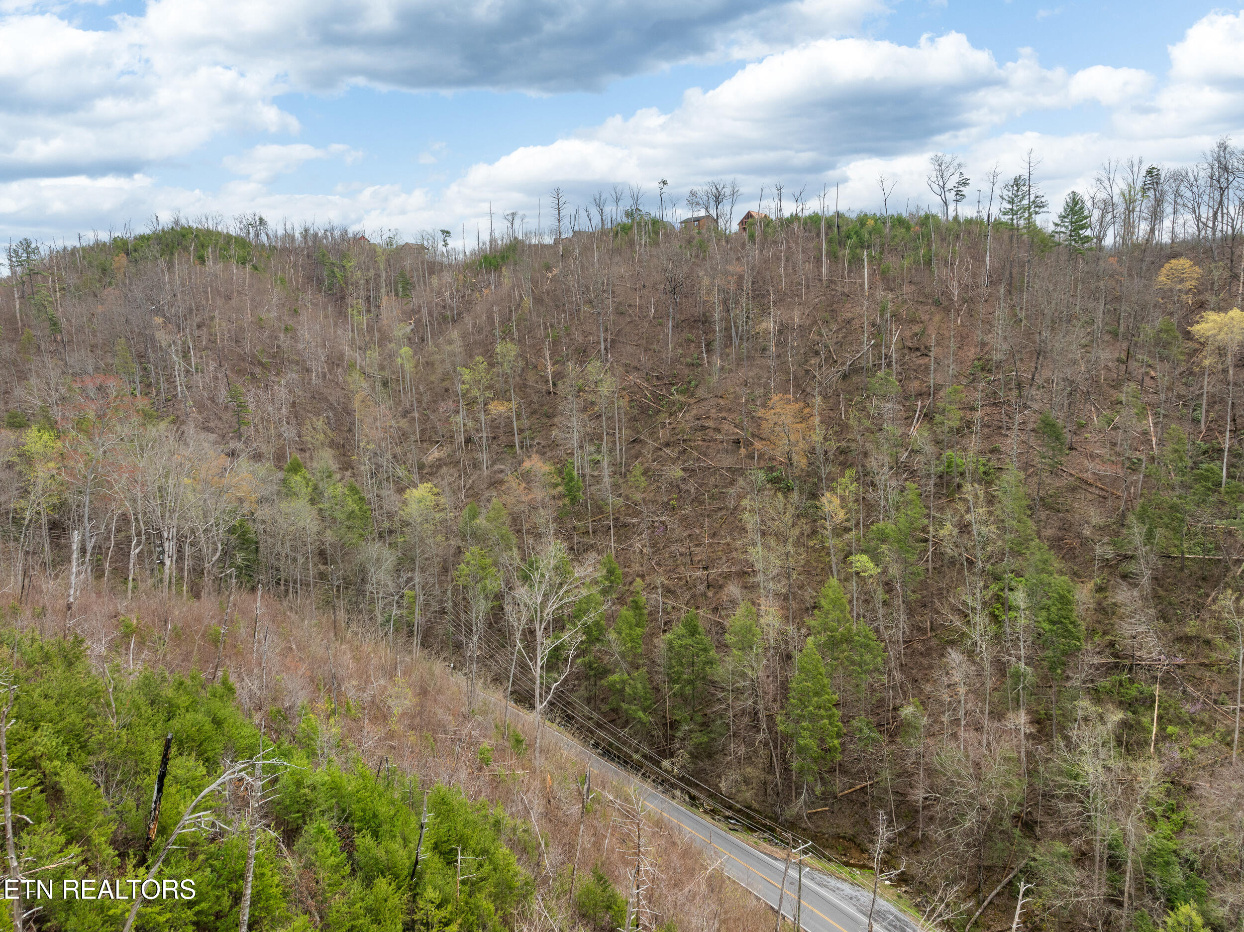 Long Branch Road Gatlinburg, TN 37738 - Photo 10 of 15 long branch road lot-10