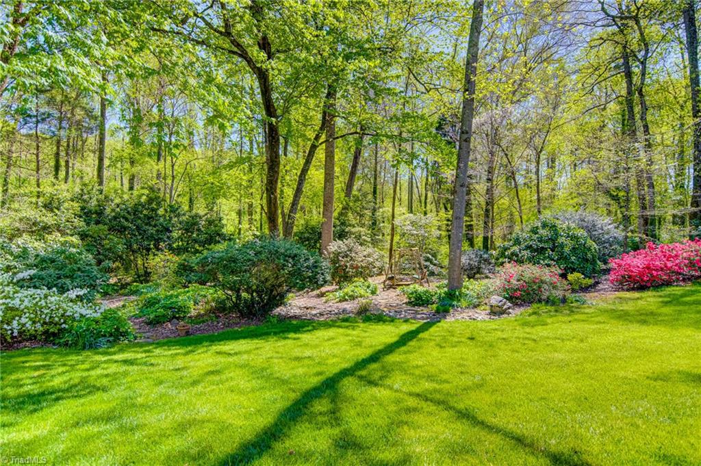 3530 Kirklees Road Winston-Salem, NC 27104 - Photo 16 of 42 You never get tired of this view from the sunroom