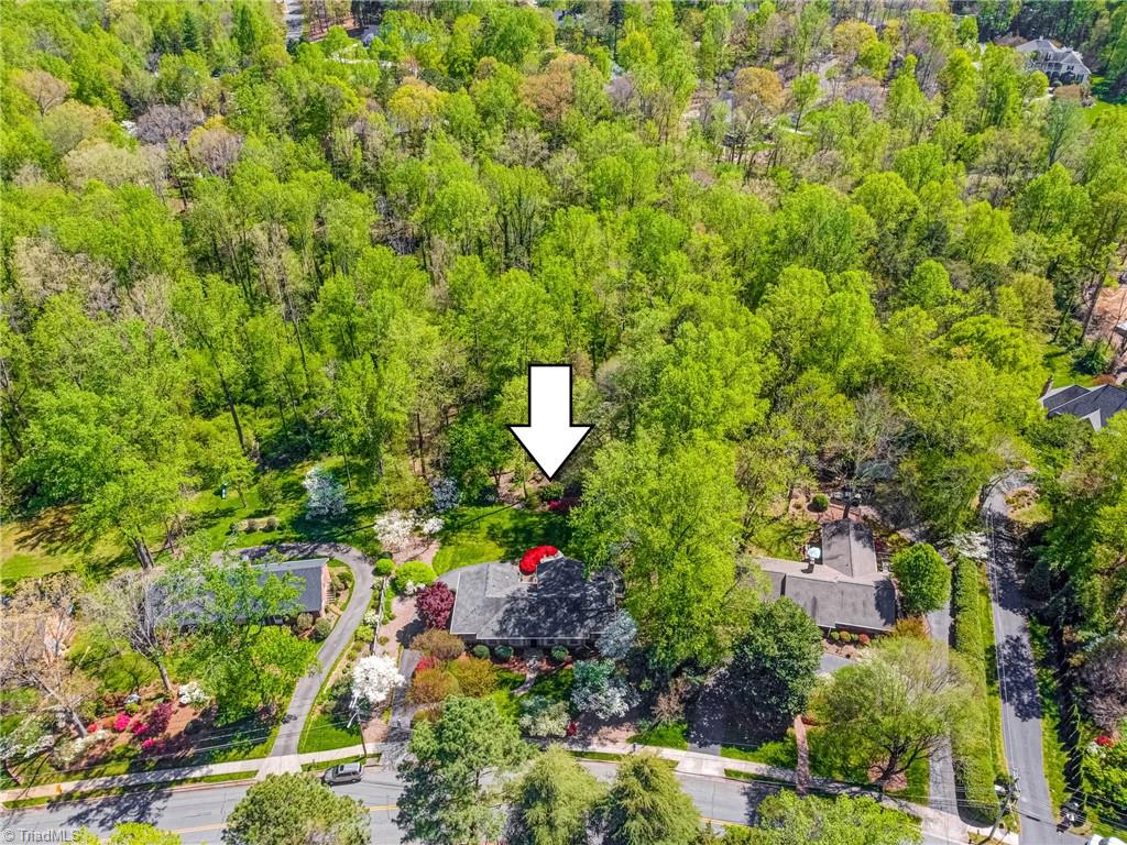3530 Kirklees Road Winston-Salem, NC 27104 - Photo 41 of 42 House backs up to par course; lovely woods provide buffer.
