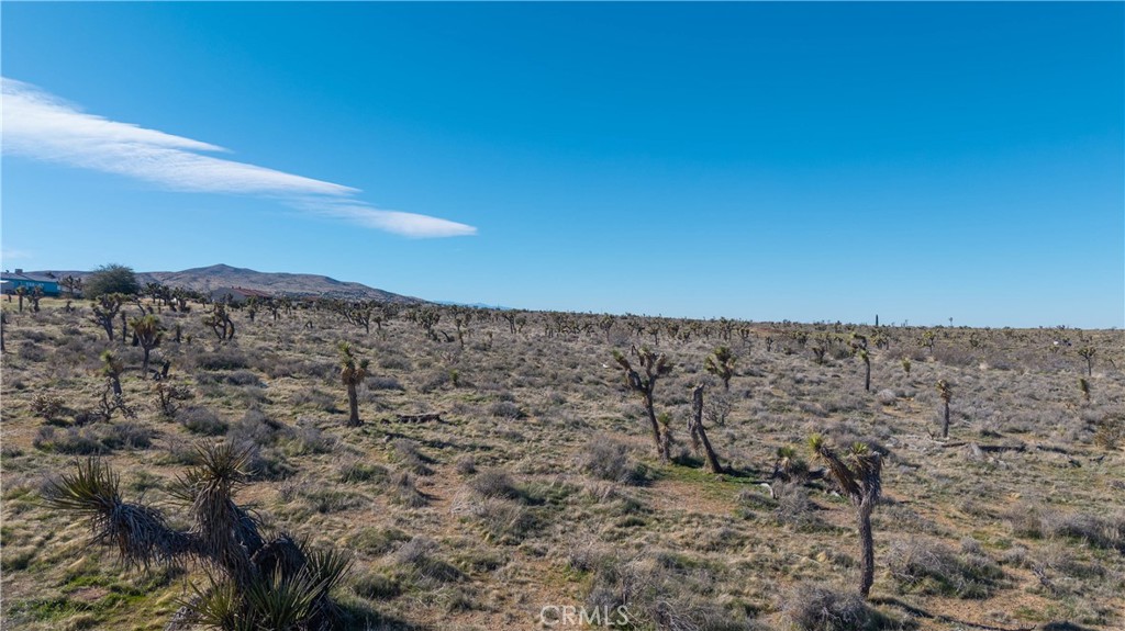 9588 Milpas Road Apple Valley, CA 92308 - Photo 12 of 22 a view of a dry yard with mountains in the background