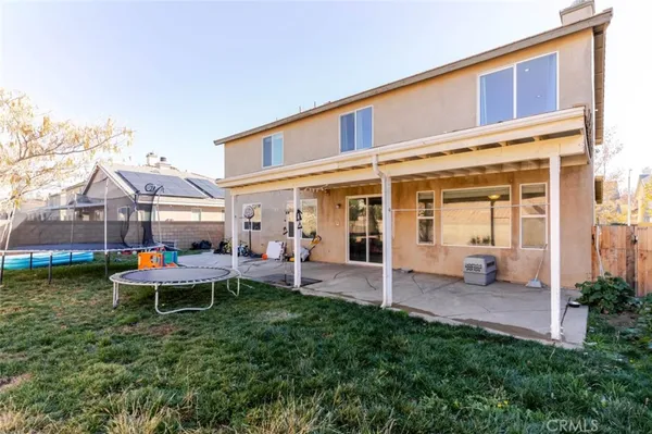 a view of a park with large trees and plants