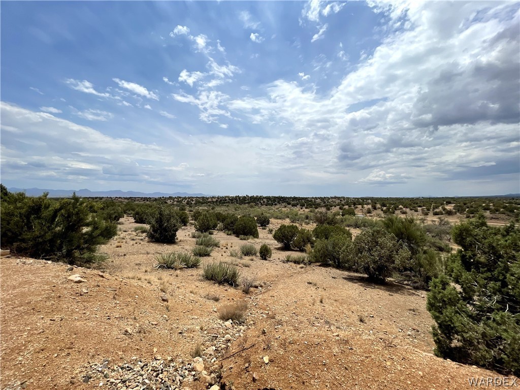 10551 East Blake Ranch Road Kingman, AZ 86401 - Photo 30 of 50
