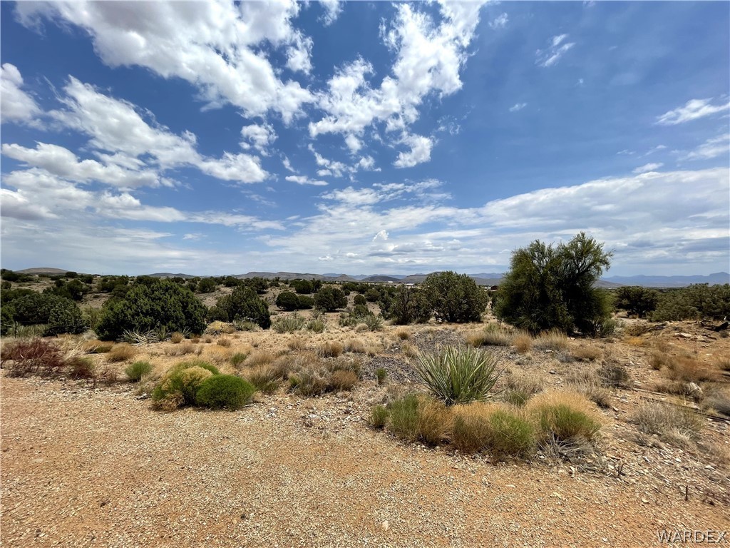 10551 East Blake Ranch Road Kingman, AZ 86401 - Photo 31 of 50 a view of a dry yard