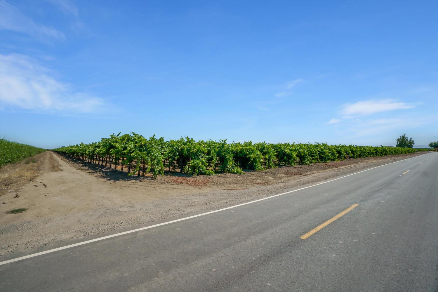 9255 East Handel Road Lodi, CA 95240 - Photo 15 of 18 a view of a road and a yard